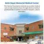 Amin Hayat Memorial Medical Center company icon